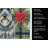 Kerry Blue Terrier Christmas PoinsettIas Kitchen Towel-2080584076