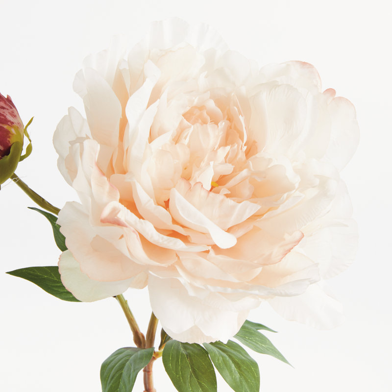 21-Inch Peony Stem, Light Coral