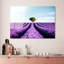 Boze Wall Decor