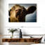Vache ridicule-107703376