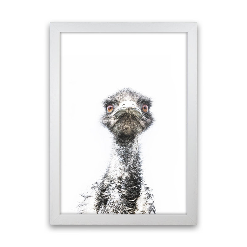 E.M.U by Victoria Frost - Print, White Framed, 34cm H x 25cm W x 3cm D