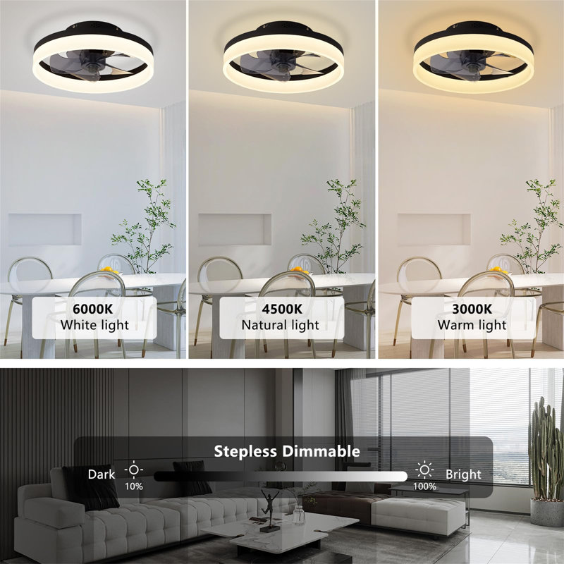 Ceiling Fan with LED Lights