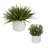 14'' Faux Greenery Plant in Ceramic Pot