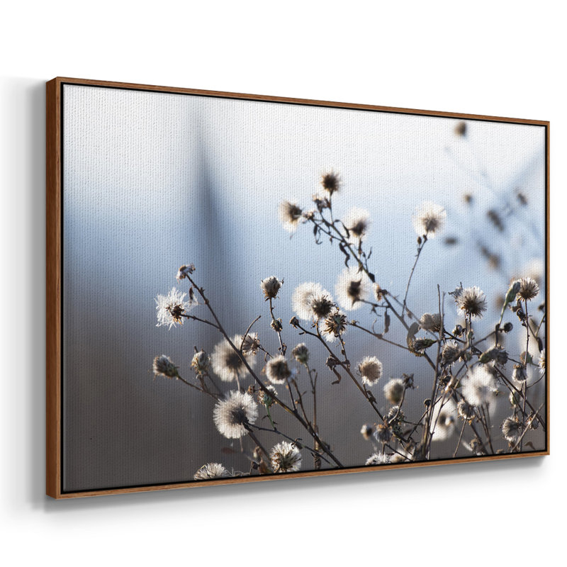 «Spring Fluff», reproduction sur toile, Noyer, H 25 po x l 37 po x P 2 po