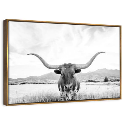 Longhorn Texas BW