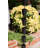 Aluminum Multi Cube Rain Chain Replacement Downspout for Gutters