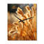 Horloge murale Madara-2036985158