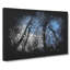 Beautiful Forest - Wrapped Canvas Print-61886392