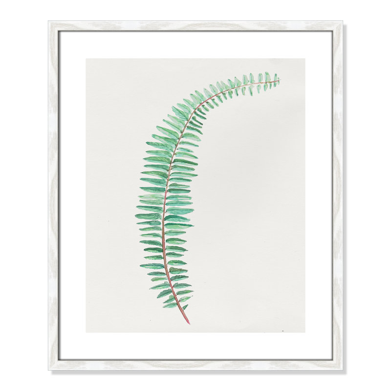 Delicate Botanical II '- Reproduction d'art sur papier encadrée, H 25,5 po x l 21,5 po x P 0,75 po
