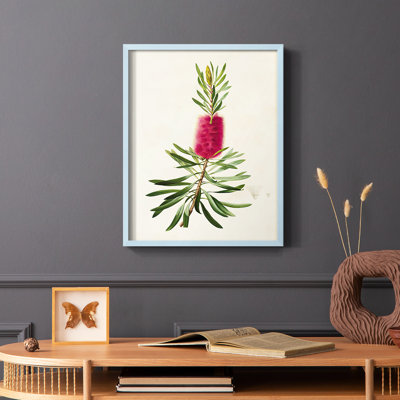 «Pretty Pink Botanicals VII», reproduction encadrée - bois massif