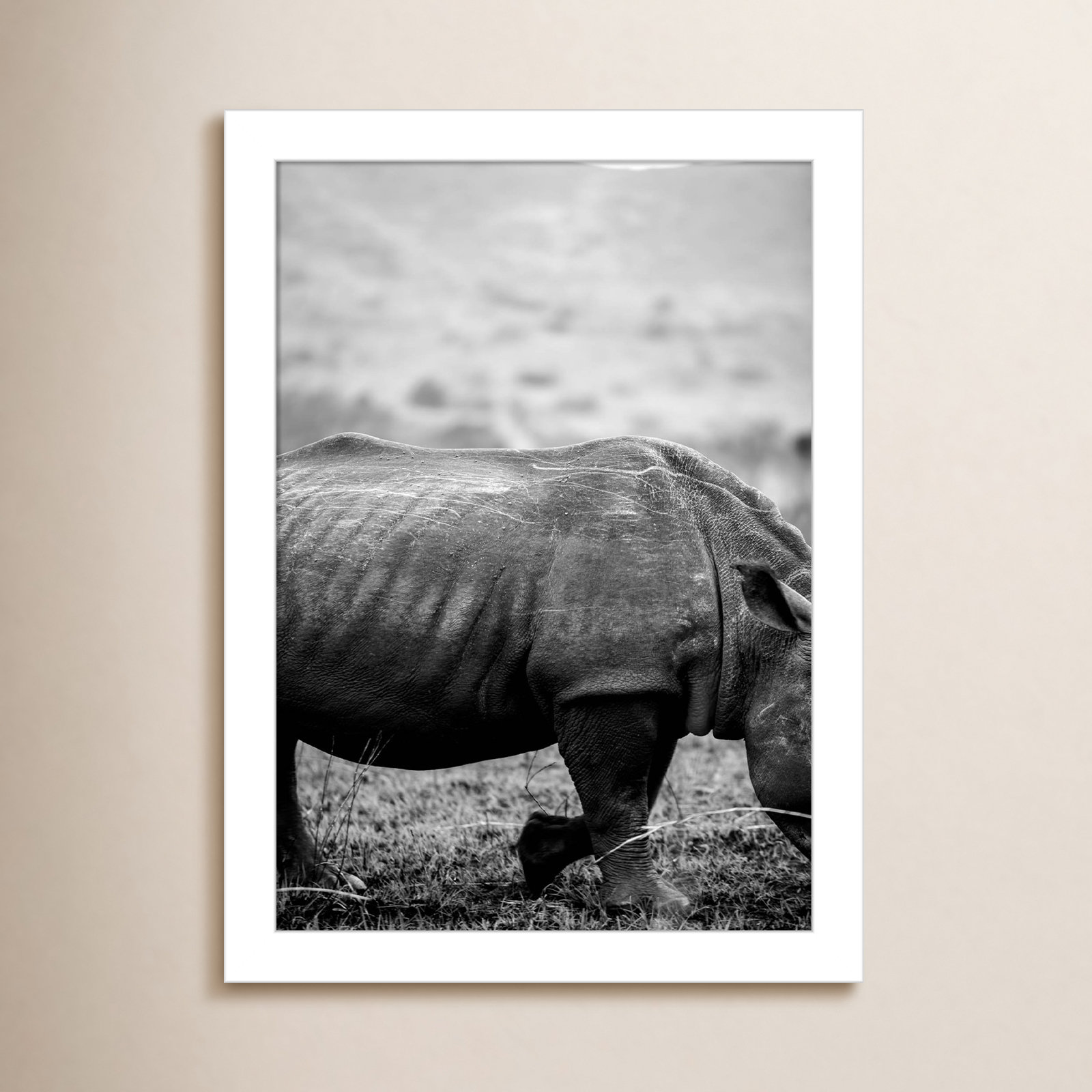 Pepperidge "Black Rhino" Print, White, 13" H x 10" W