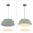 1-Light Dome Indian Gray Single Pendant 