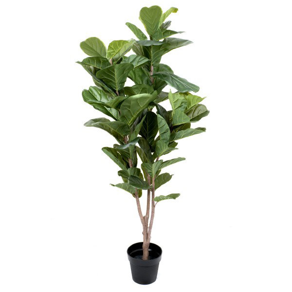 Artificial Real Touch Fiddleleaf Tree x 54 leaves