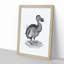 Dodo in Black and White by George Shaw - Picture Frame Drawing Print on MDF-55545836-55545835