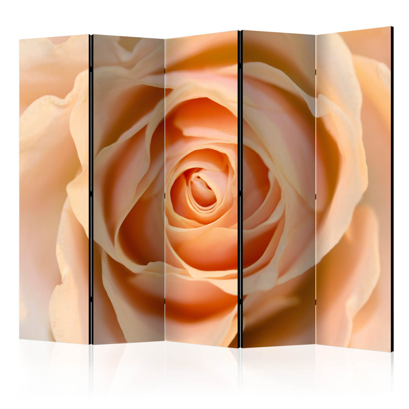Monmouth 225cm W x 172cm H 5 - Panel Folding Room Divider