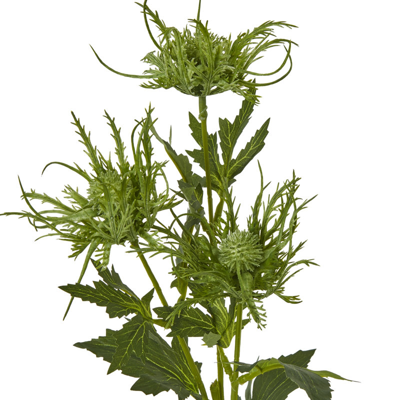 Anastasija Arrangement, Green