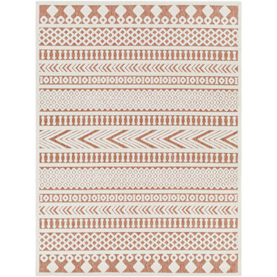 Baraona Indoor / Outdoor Rug