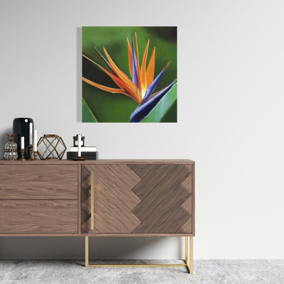 Bird of Paradise Flower Canvas | Exotic Floral Home Decor