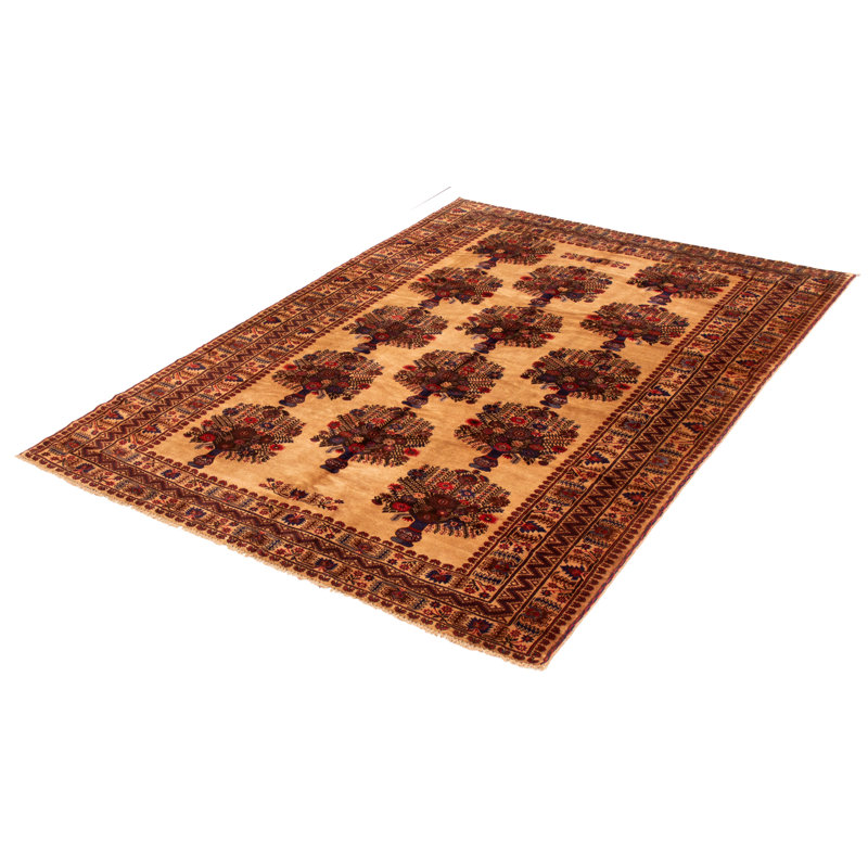 Tapis unique en laine noué à la main nouvel âge de 6 pi 9 po x 9 pi 8 po Hayze