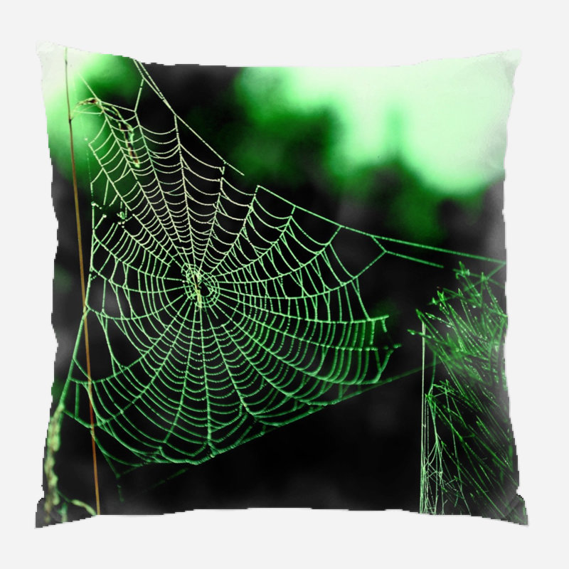 Coussin de jeté web spider