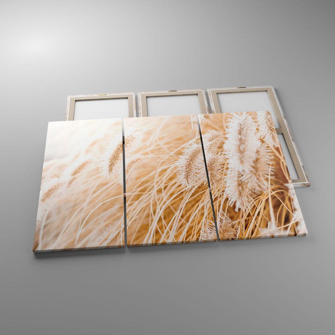 3-tlg. Leinwandbilder-Set Grass Boho Light