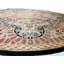 Kassadie Oriental Area Rug