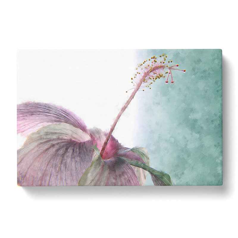 Pink Hibiscus Flower - Wrapped Canvas Print, 40cm H x 60cm W x 4cm D