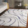 Ashal Abstract Indoor Rug