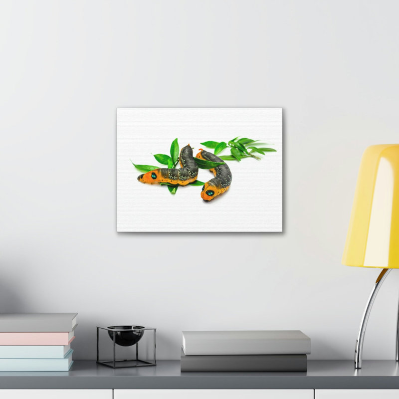 No Frame Print on Canvas