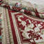 9'X12' Oriental Area Rug in Red