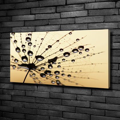 The Dandelion Was Sown 1 Piece Wrapped Canvas Wall Art
