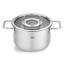 Fissler® Pure Collection Stainless Steel Stockpot with Glass Lid-25973996