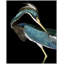 Stately Heron 2 Print by Thom Filicia