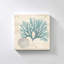 "Blue Seaweed II" par Susan Arnot, reproduction sur toile-1786231680