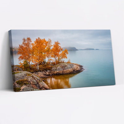 Art mural sur toile de bouleaux orange sur un rivage rocheux