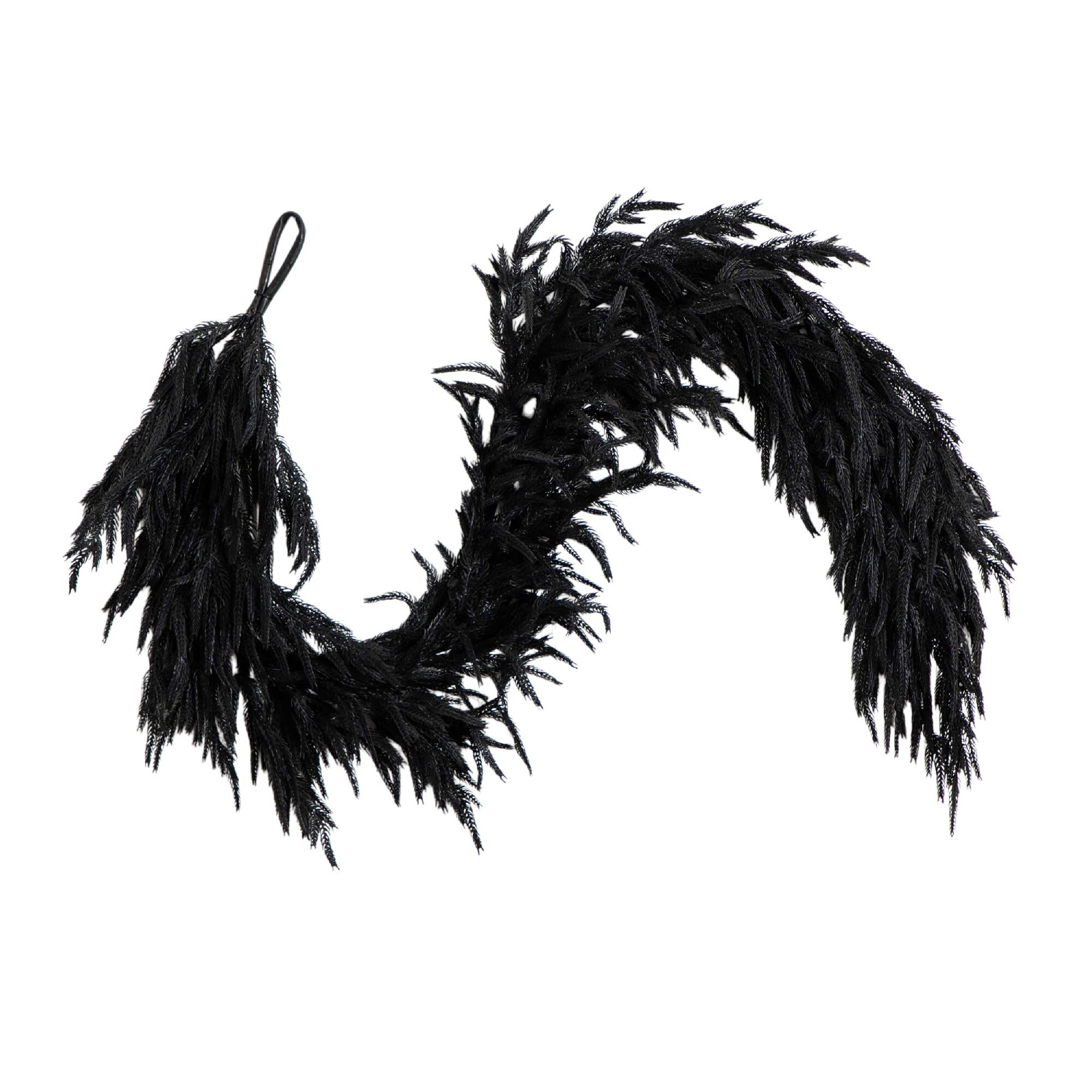 10Ft. Artificial Real Touch Norfolk Island Pine Garland With Natural Look, Black, 6' L