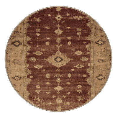 Machine Washable Overdyed Brown Area Rug