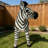 Simulated Zebra Garden Statue