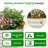 Aoodor 17" Metal Raised Garden Bed-813647894-864236378