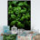 «Herbs Basil Vibrance 4 - Floral Herbs», art mural