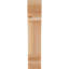 Corbeau Pescadero-1571285244-1571285246-1571285249