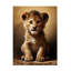 Momart Baby Lion 1 sur impression sur toile-1066723479