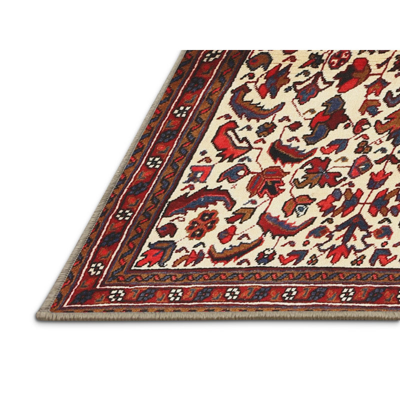 Cathryne Oriental Indoor Rug, Rectangle 8' x 12'