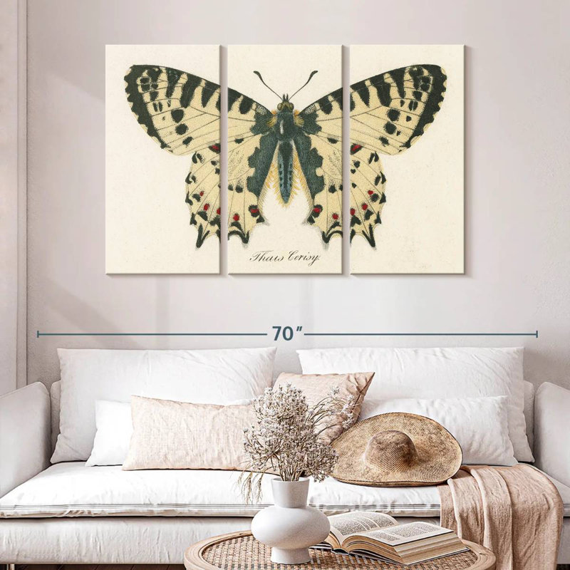 Brampt natures papillon I, H 28 po x l 45 po
