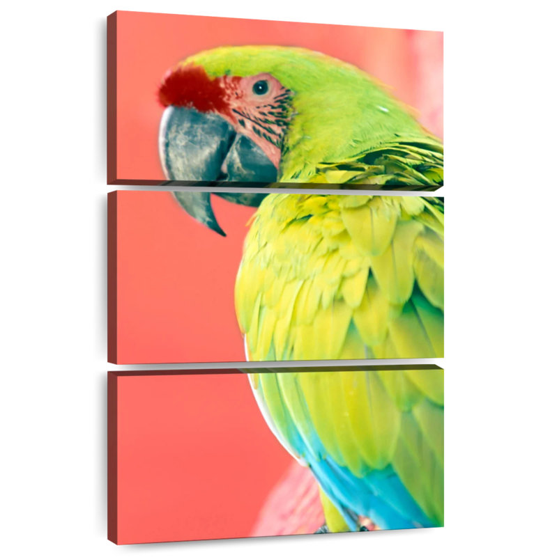 Brampt Green Macaw, 23" H x 14" W