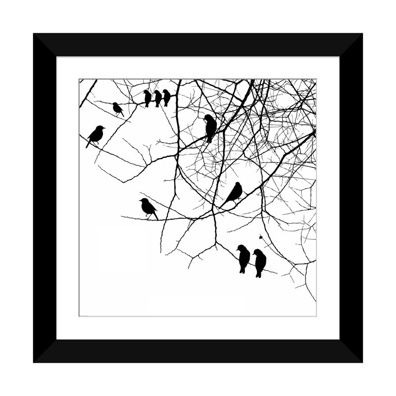 «Birds II» par GraphINC - impression d'art graphique, Papier d'art encadré noir, Blanc, H 16 po x l 16 po x P 1 po