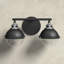 Kyoto 2 Light Seeded Dimmable Vanity Light