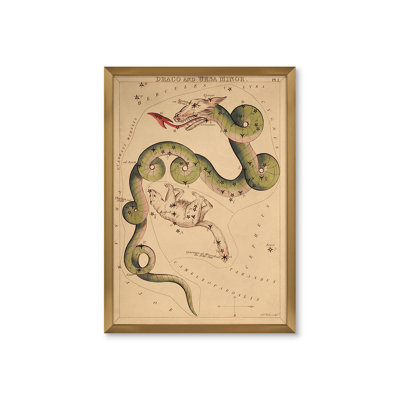 Draco Print by Grand Archives
