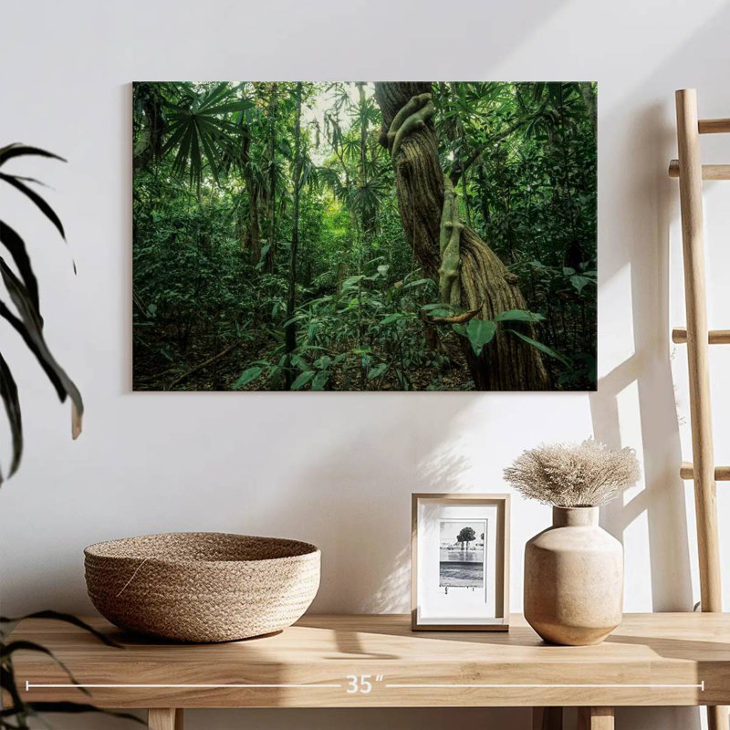Forêt tropicale Alvord Monteverde, H 16 po x l 24 po