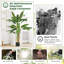 160cm Faux Bird Of Paradise Tree